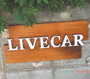 Live car�i���C�u�E�J�[�j�Ŕ�2