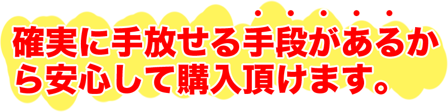 �m���Ɏ�������i�����邩����S���čw�������܂��B