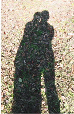 Live car�i���C�u�E�J�[�j�̂����p�����ŁA���ł����R�ɂ��D���ȎԂ������ߒ����܂��B