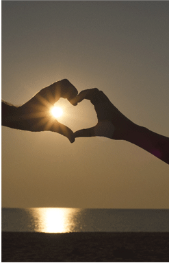 Live car�i���C�u�E�J�[�j�Ȃ���Z�Ԉȏ�̉��i�Ō@��o�����������܂��B