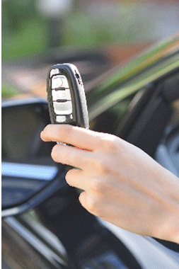 Live car�i���C�u�E�J�[�j�Ȃ�A�Ǝ҉��i�Ŕ�����I�[�g�I�[�N�V�����w���@�\���W���ł����p�����܂��B